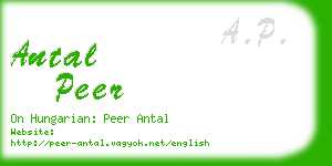 antal peer business card